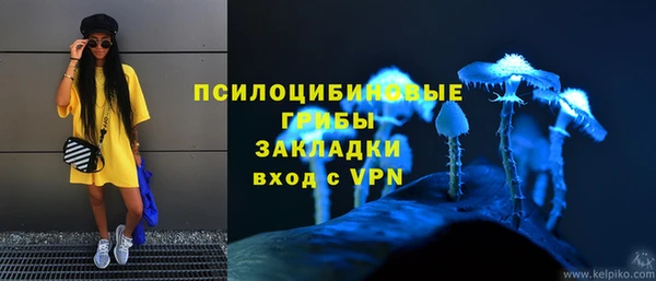 шишки Балахна