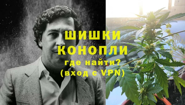 шишки Балахна