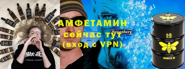 шишки Горняк